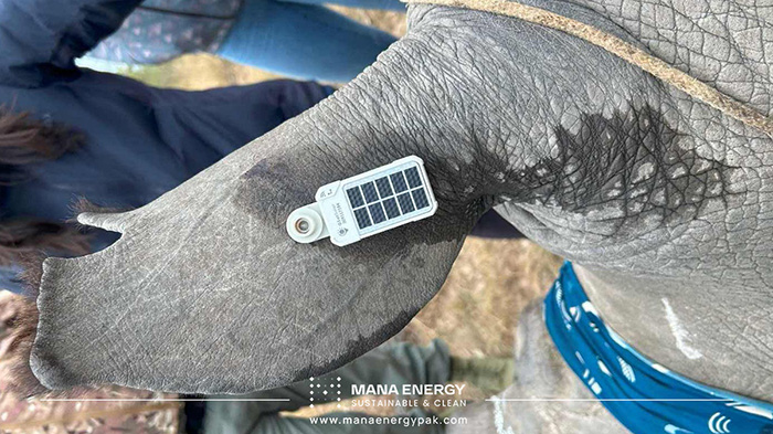 کاربرد سلول های خورشیدی در ردیاب حیوانات