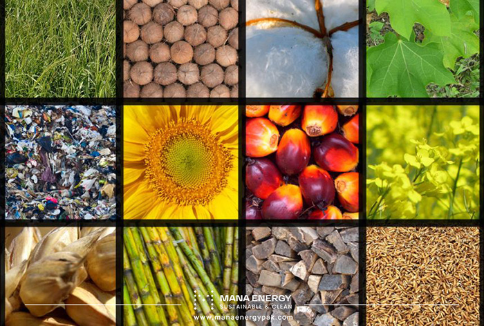 انواع انرژی تجدیدپذیر: انرژی بیومس