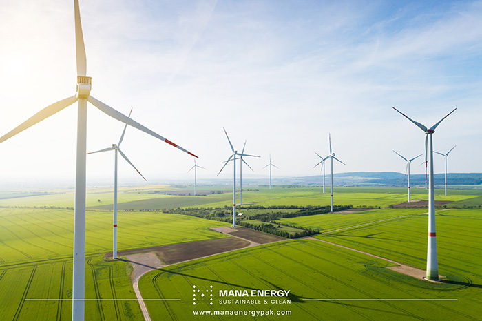 انواع انرژی تجدیدپذیر : انرژی بادی